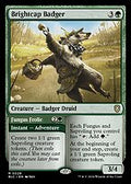 Brightcap Badger (BLC-028) - Bloomburrow Commander