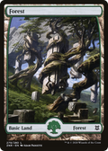 Forest (279) - Full Art (ZNR-279) - Zendikar Rising: (Full Art) Foil