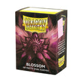 Dragon Shield Standard Size Dual Matte Sleeves (100ct)