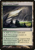 Saltcrusted Steppe (TSP-277) - Time Spiral Foil