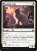 Charmed Stray (WAR-008) - War of the Spark Foil