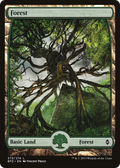Forest (273) - Full Art (BFZ-273) - Battle for Zendikar Foil