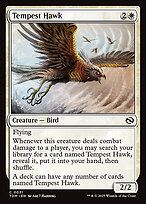 Tempest Hawk (TDM-031) - Tarkir: Dragonstorm