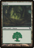Forest (299) (SHM-299) - Shadowmoor