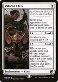 Paladin Class (AFR-029) - Adventures in the Forgotten Realms