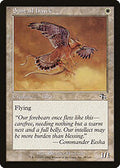 Suntail Hawk (JUD-028) - Judgment