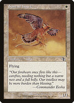 Suntail Hawk (JUD-028) - Judgment