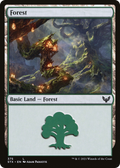 Forest (375) (STX-375) - Strixhaven: School of Mages