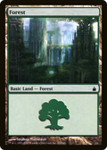 Forest (303) (RAV-303) - Ravnica: City of Guilds