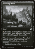 Evolving Wilds (261) (DBL-261) - Innistrad: Double Feature