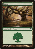 Forest (244) (AVR-244) - Avacyn Restored Foil