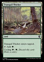 Tranquil Thicket (BLC-350) - Bloomburrow Commander