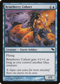 Briarberry Cohort (SHM-030) - Shadowmoor Foil