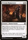 Veteran Dungeoneer (AFR-040) - Adventures in the Forgotten Realms Foil