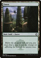 Forest (AFR-281) - Adventures in the Forgotten Realms